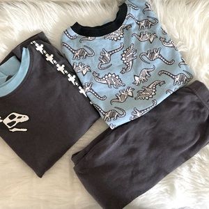 Dinosaur Long Sleeve Boys Pajama Set Size 5